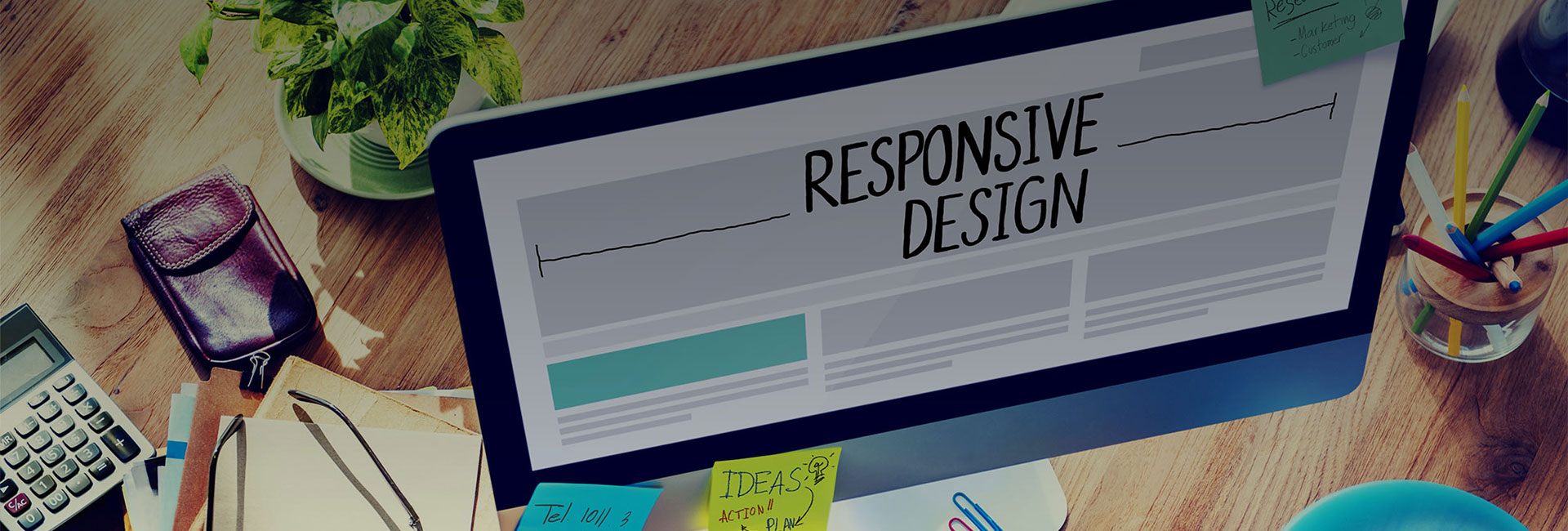 Zea Stim R&D - Web Design services